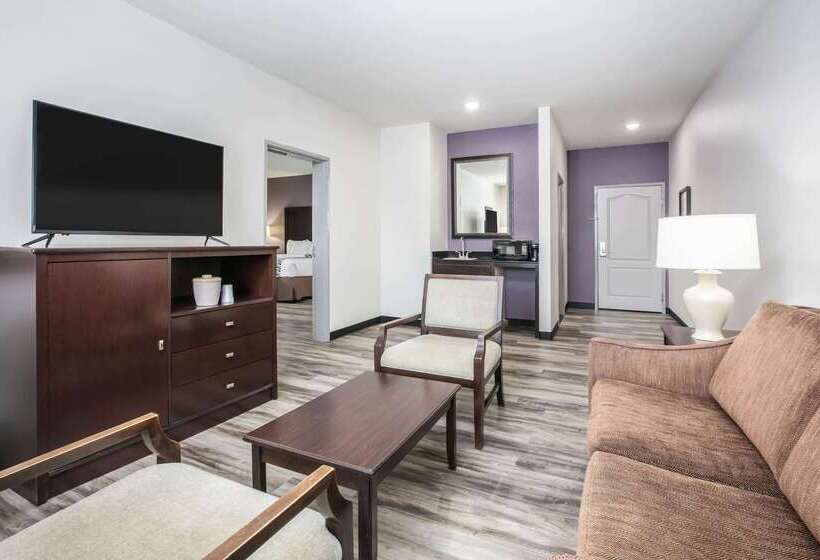 酒店 La Quinta Inn & Suites By Wyndham Dfw Airport West  Euless