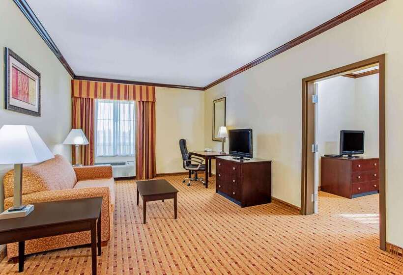 酒店 La Quinta By Wyndham Ennis