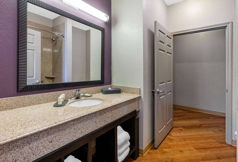 酒店 La Quinta By Wyndham Lumberton