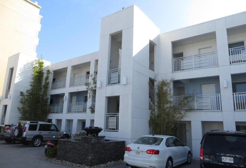 فندق Lotus Boutique Inn And Suites