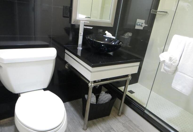 فندق Lotus Boutique Inn And Suites