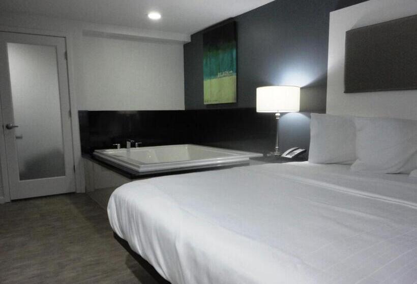 فندق Lotus Boutique Inn And Suites