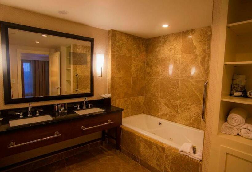 בית מלון כפרי Macon Marriott City Center