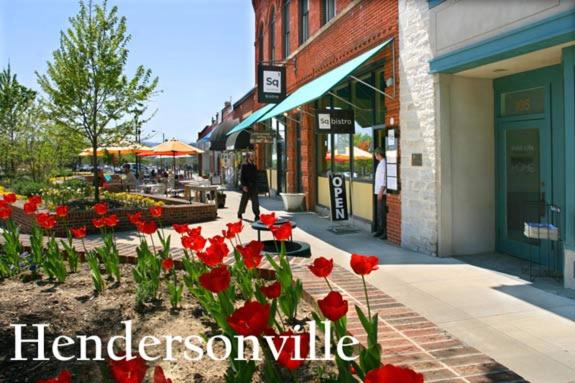 ホテル Mountain Inn & Suites Flat Rock