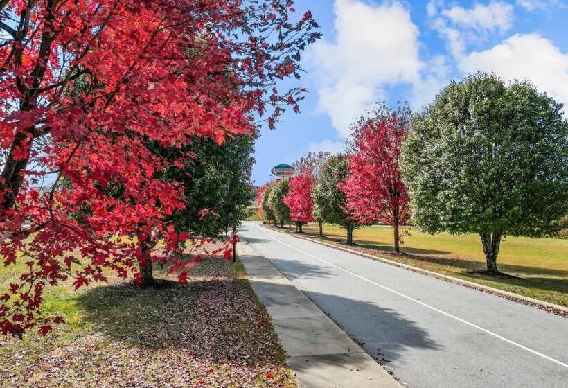 ホテル Mountain Inn & Suites Flat Rock