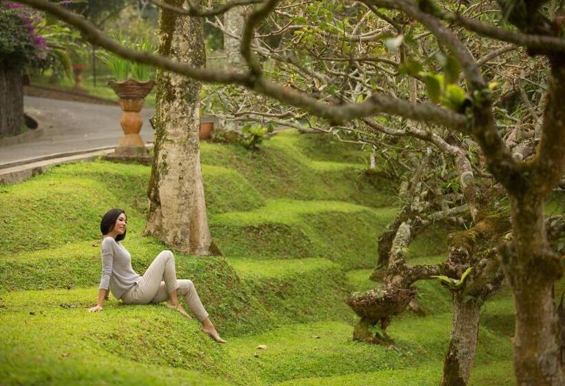 בית מלון כפרי Novus Giri Resort & Spa