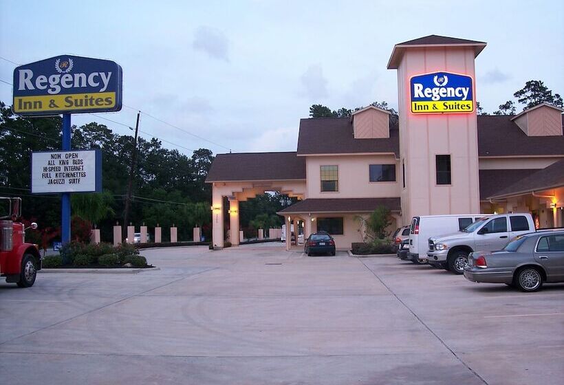 酒店 Regency Inn And Suites Humble