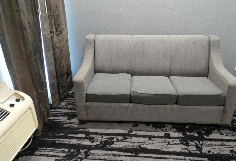 酒店 Regency Inn And Suites Humble