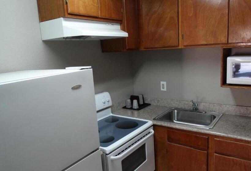 酒店 Regency Inn And Suites Humble