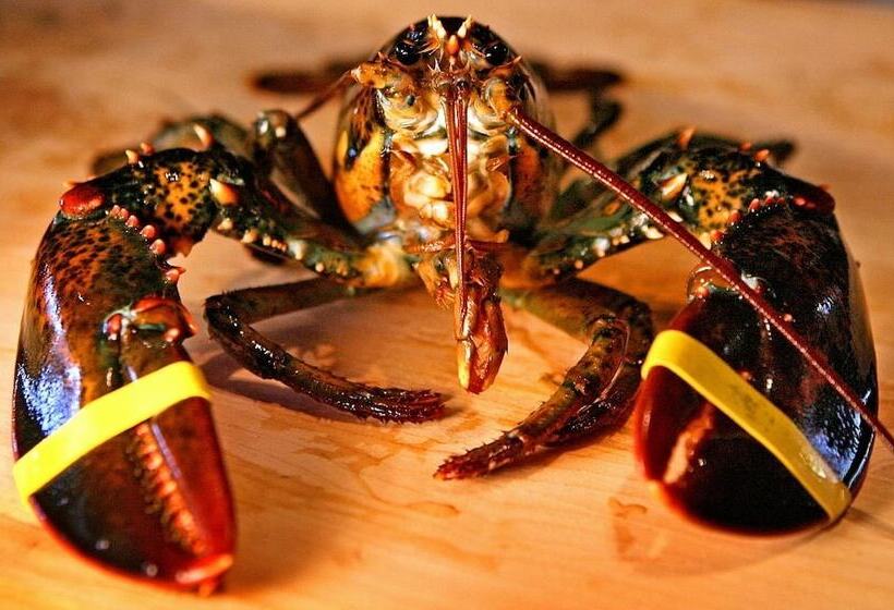 فندق Rockport Inn And Suites