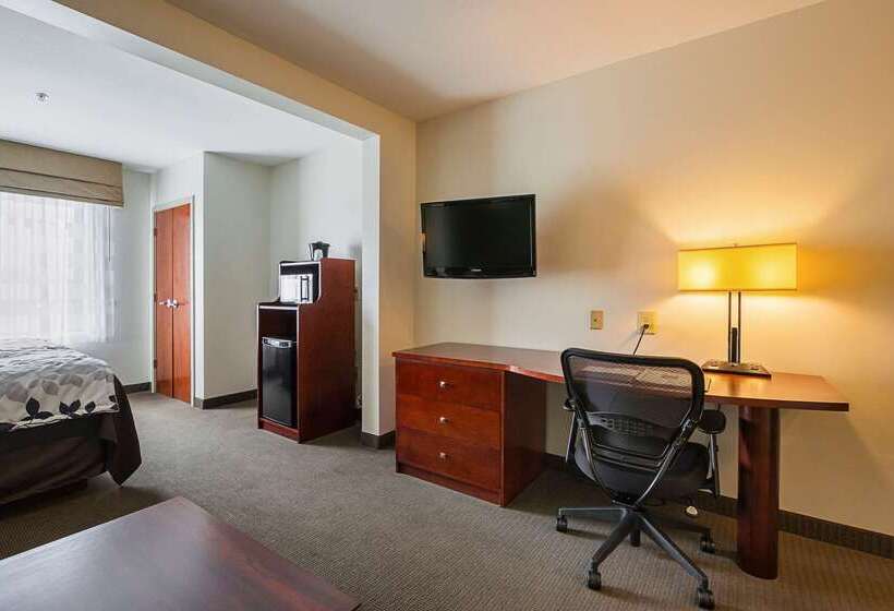 호텔 Sleep Inn & Suites