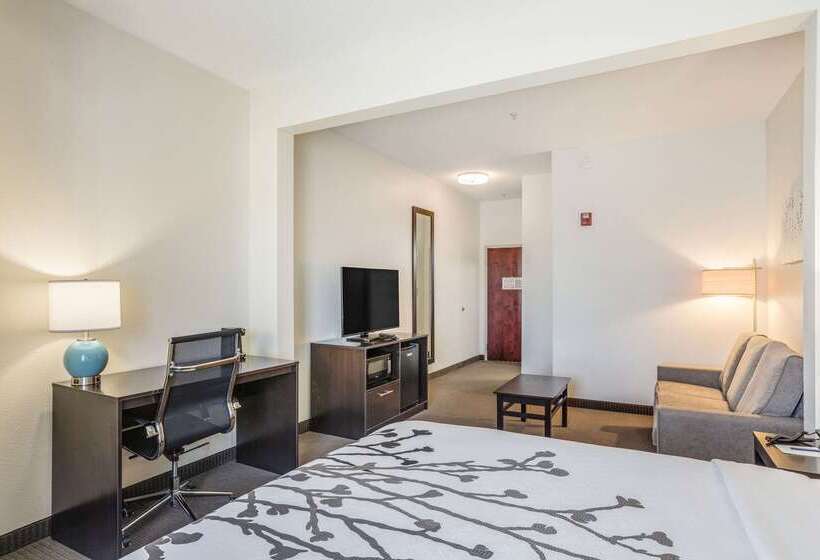فندق Sleep Inn & Suites Hiram   Atlanta Northwest