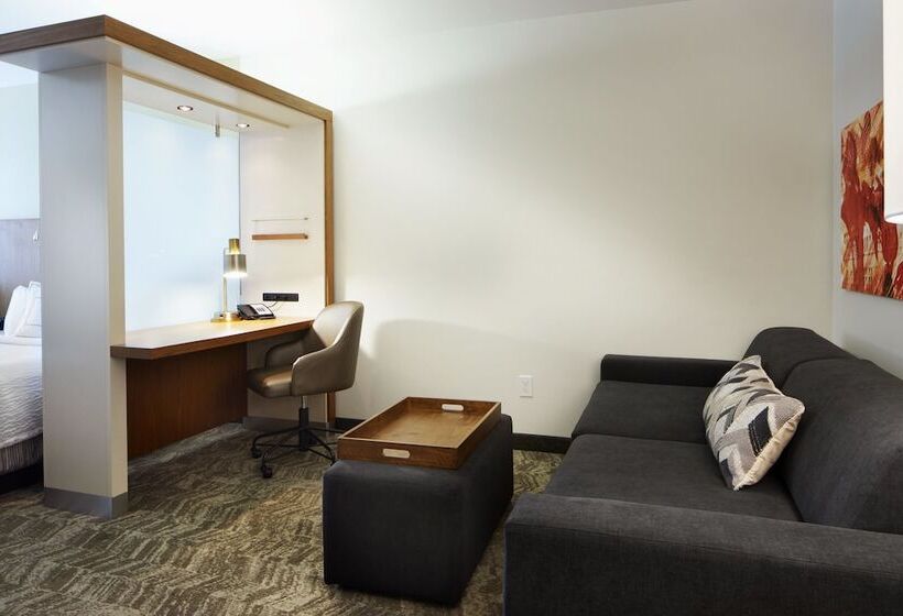 酒店 Springhill Suites By Marriott Columbus Osu