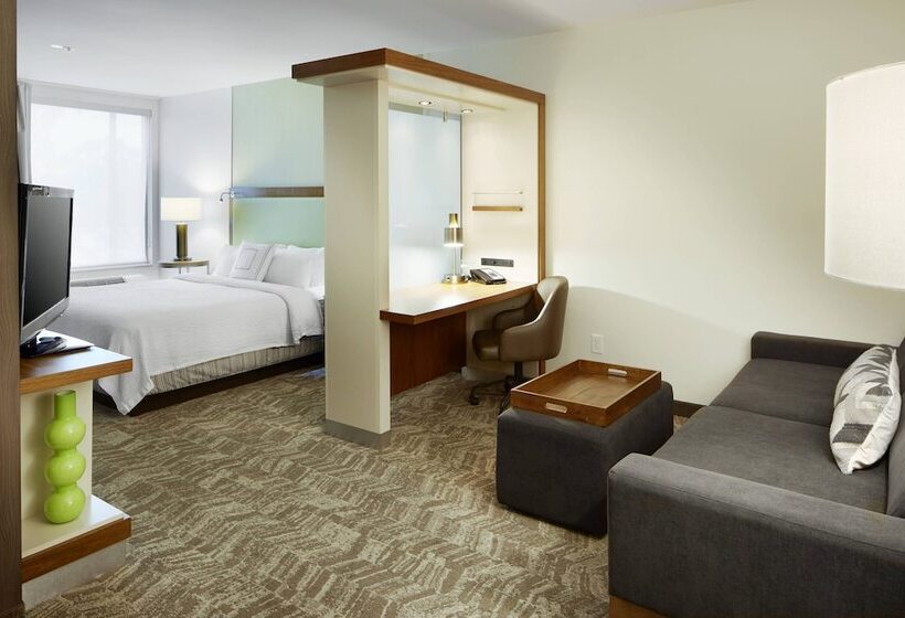 酒店 Springhill Suites By Marriott Columbus Osu