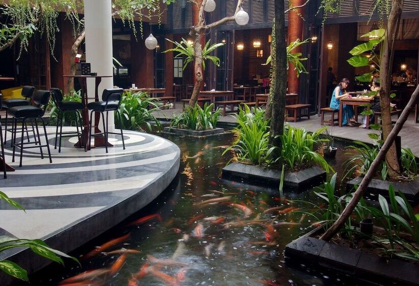 Swiss Belhotel Rainforest