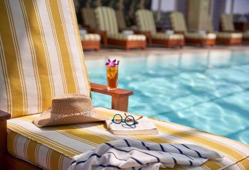 فندق The Opus Westchester, Autograph Collection