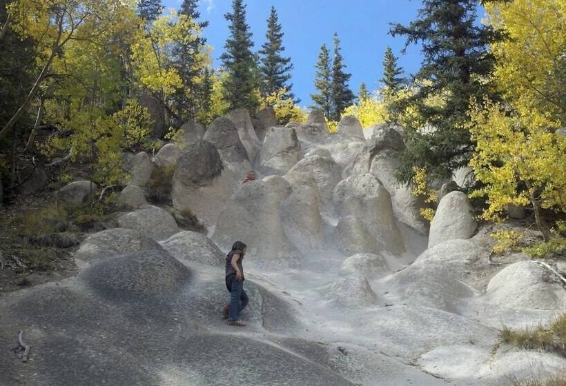 فندق The Spruce Lodge