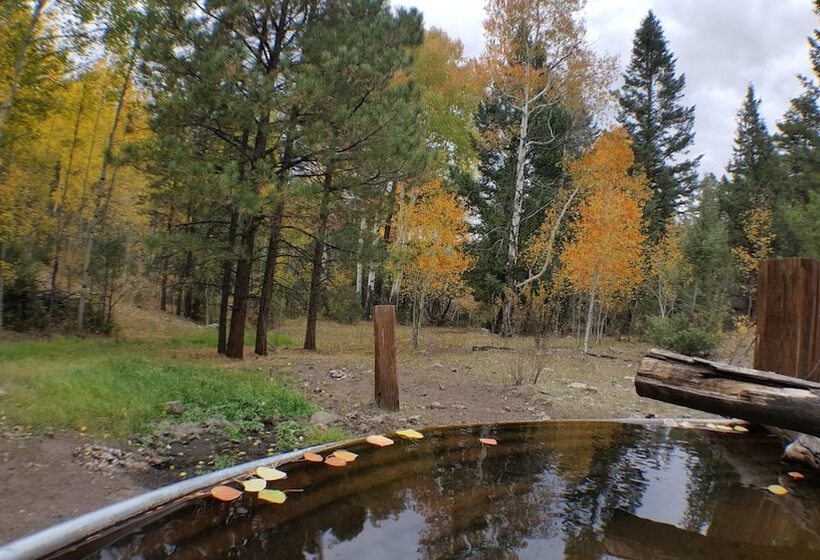 فندق The Spruce Lodge