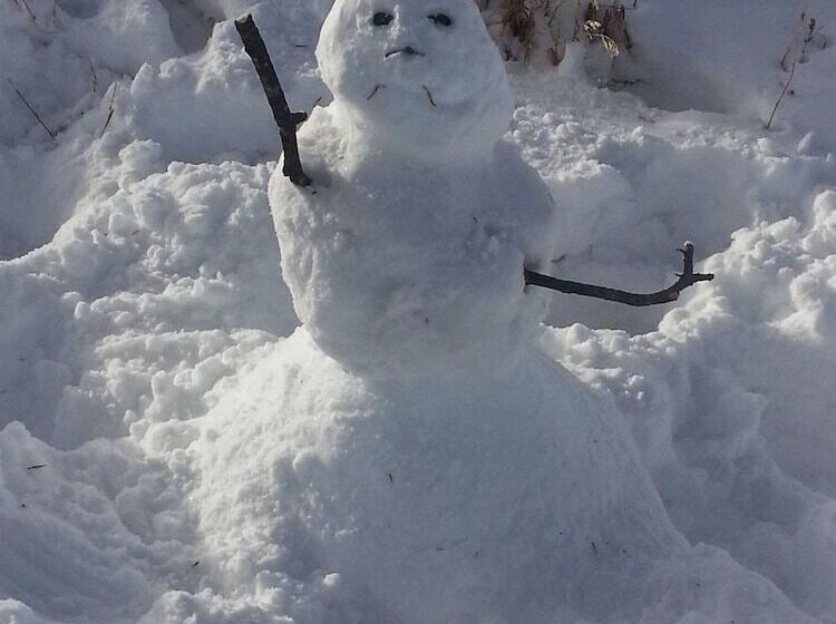 فندق The Spruce Lodge