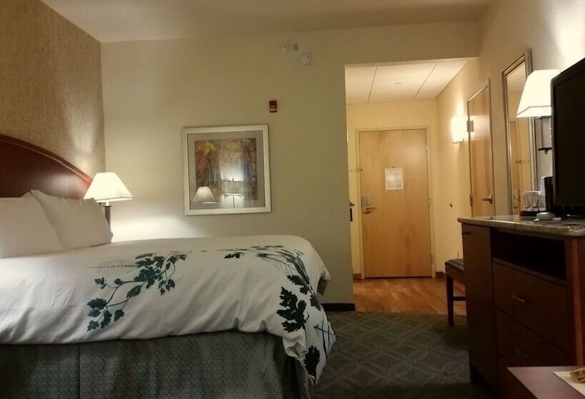 فندق Wingate By Wyndham Elkins