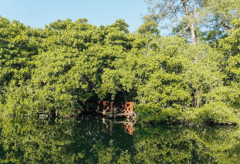 Jetwing Kurulubedda   Adults Only