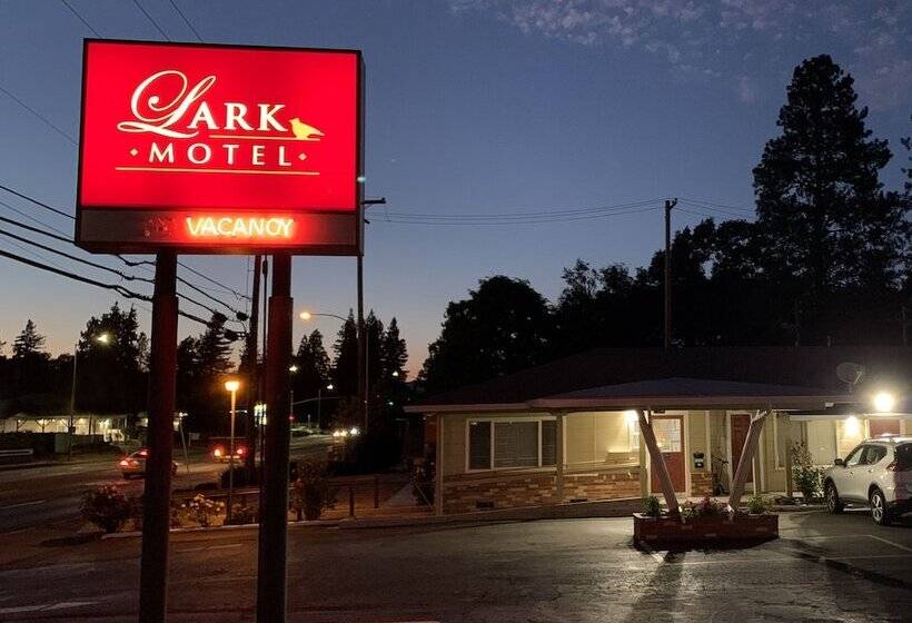 Lark Motel Willits