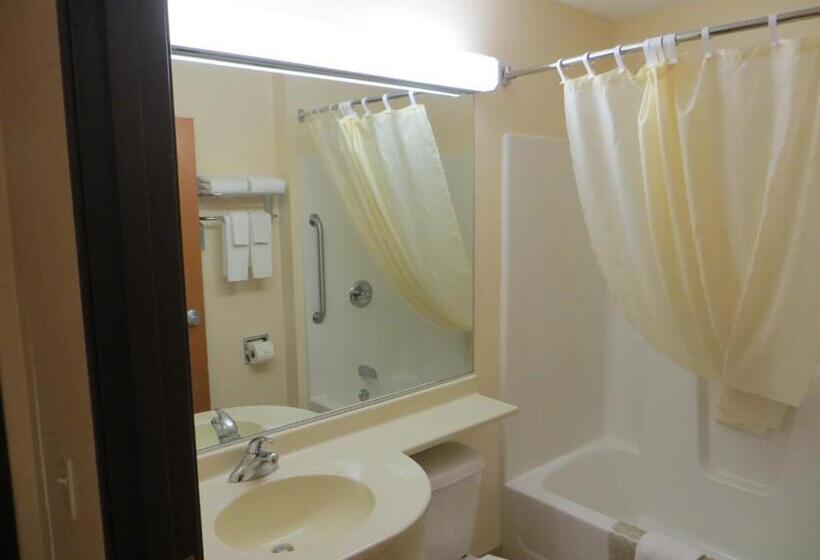 Microtel Inn & Suites By Wyndham Colfax