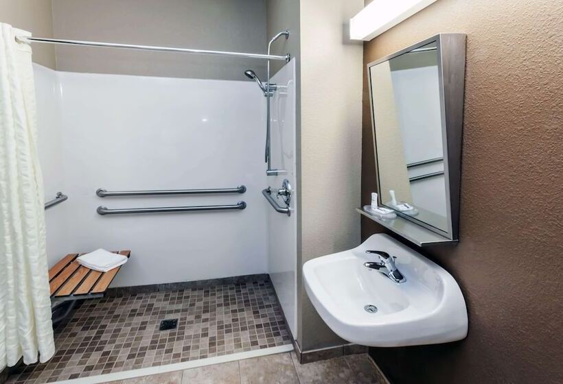 Microtel Inn & Suites By Wyndham Michigan City