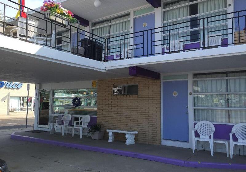 Monaco Motel  Wildwood