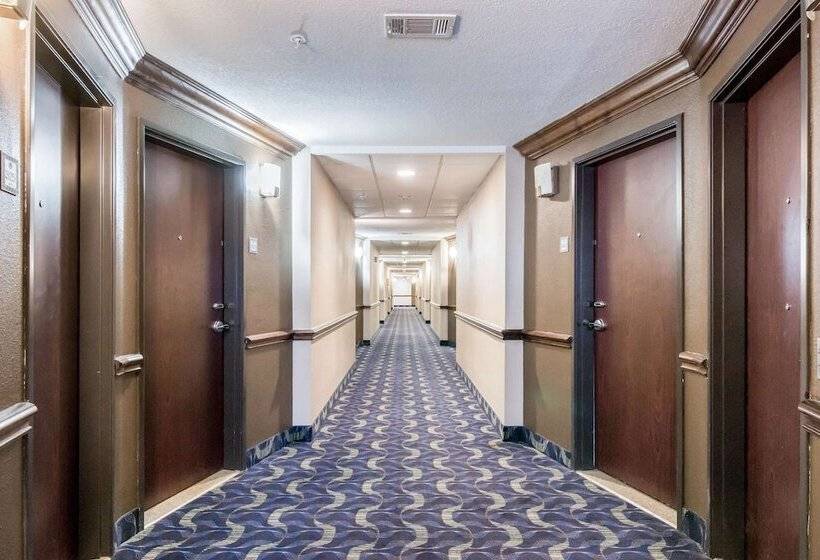 Motel 6 Mineral Wells, Tx