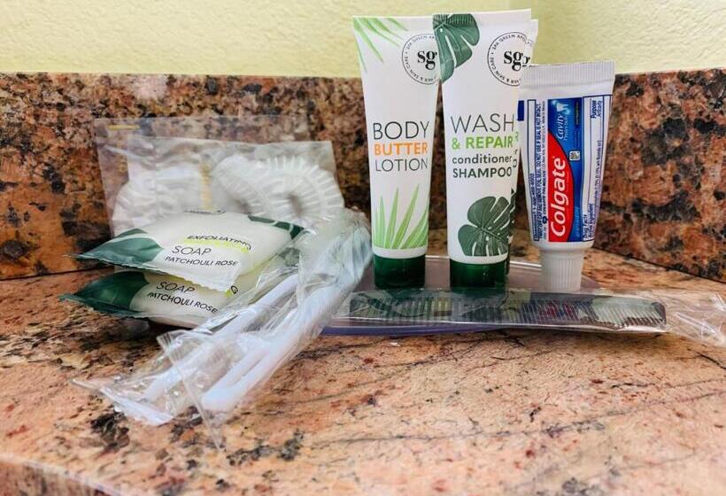 汽车旅馆  Central Coast Inn  Cayucos