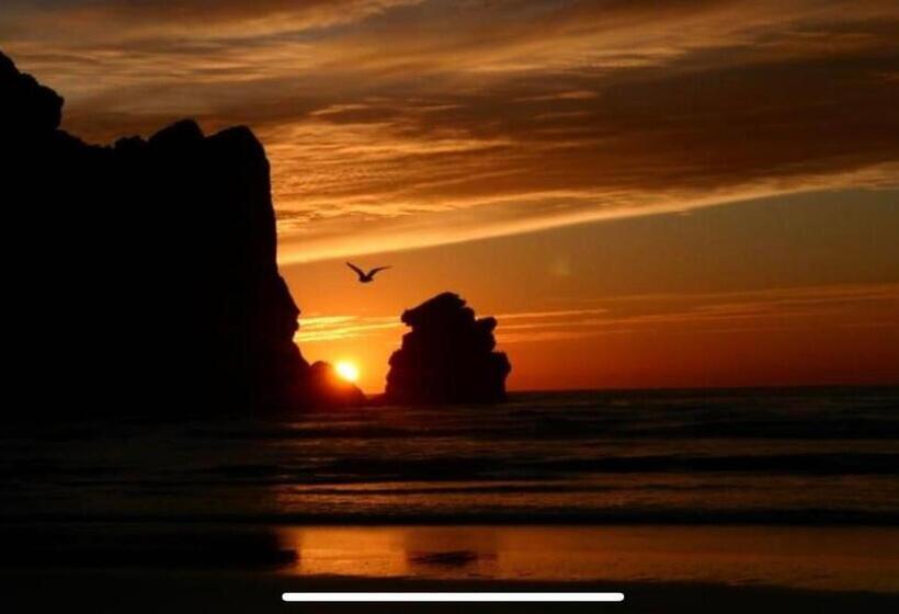 汽车旅馆  Central Coast Inn  Cayucos