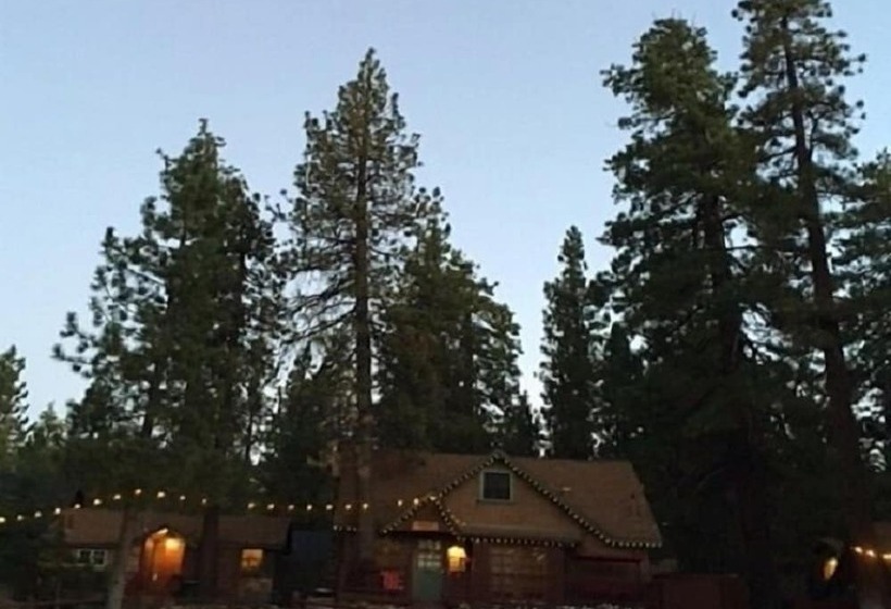 渡假胜地 Golden Bear Cottages