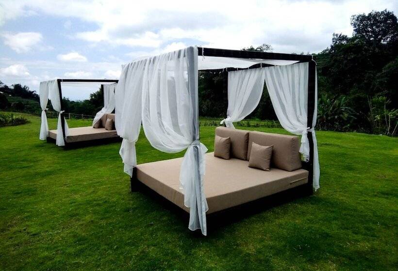 אתר נופש Homm Saranam Baturiti, Bali   A Part Of Banyan Group