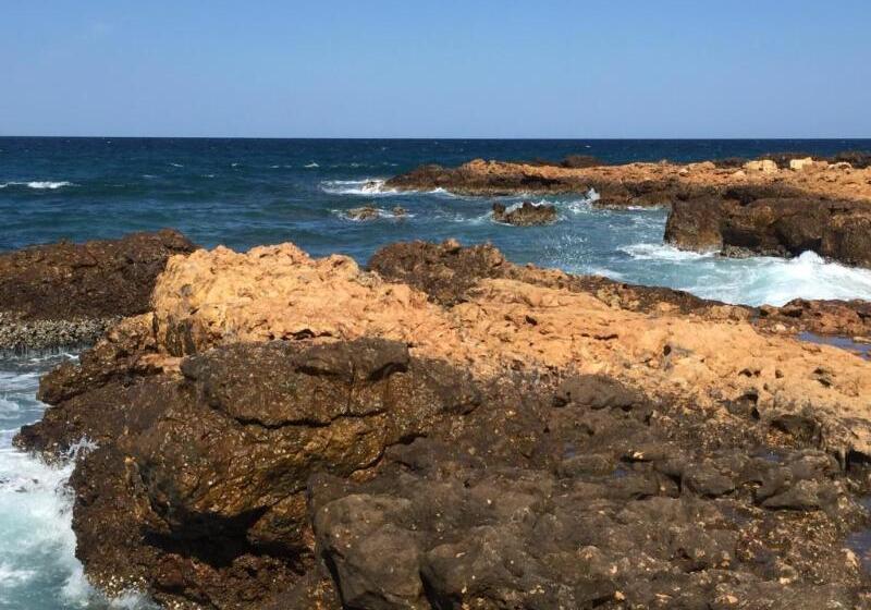 Resort Ras Al Hadd Holiday