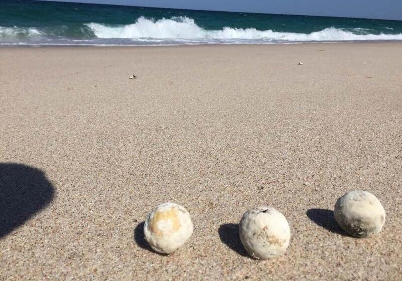 Resort Ras Al Hadd Holiday