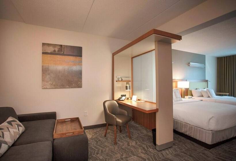 Springhill Suites By Marriott Athens West