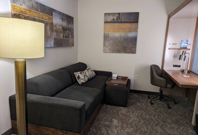 Springhill Suites By Marriott Athens West