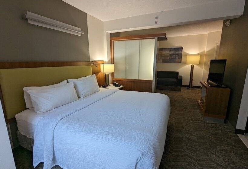 Springhill Suites By Marriott Athens West