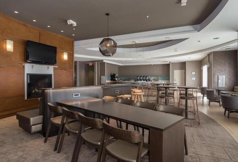 Springhill Suites By Marriott Charlotte Ballantyne