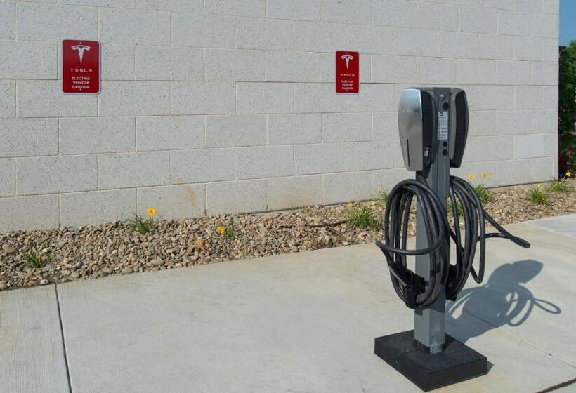 Springhill Suites By Marriott Charlotte Ballantyne