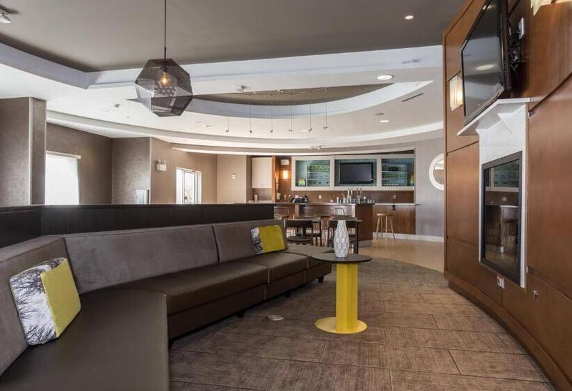 Springhill Suites By Marriott Charlotte Ballantyne