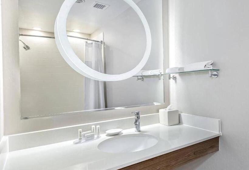 Springhill Suites By Marriott San Antonio Airport