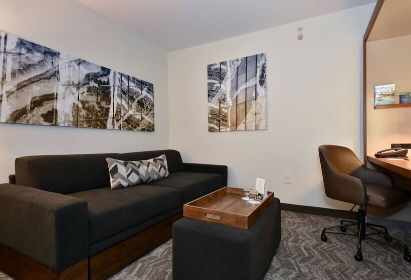 Springhill Suites Columbia Downtown The Vista