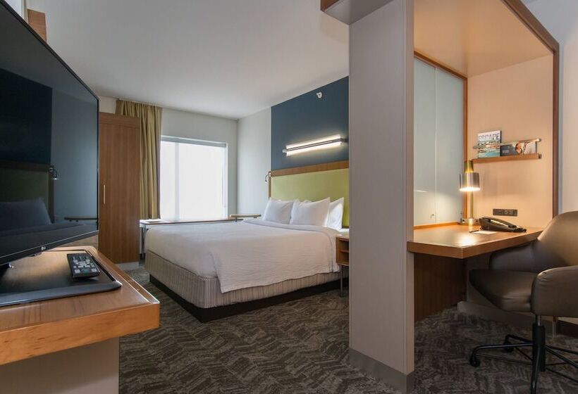 Springhill Suites Columbia Downtown The Vista