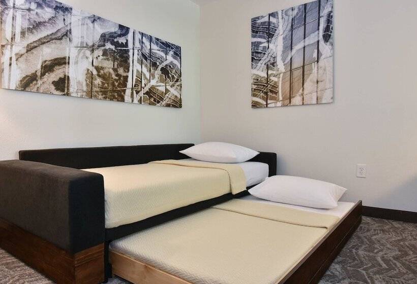 Springhill Suites Columbia Downtown The Vista