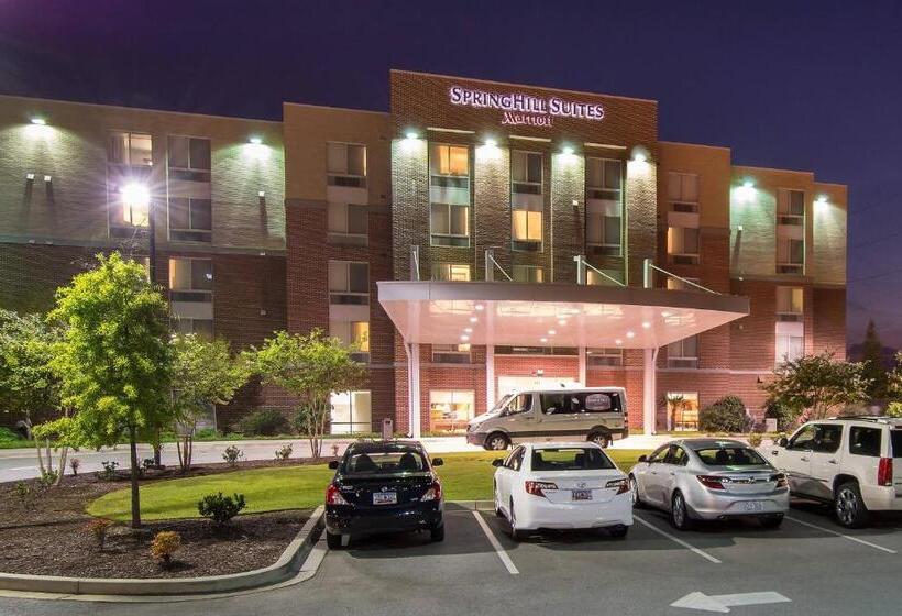 Springhill Suites Columbia Downtown The Vista