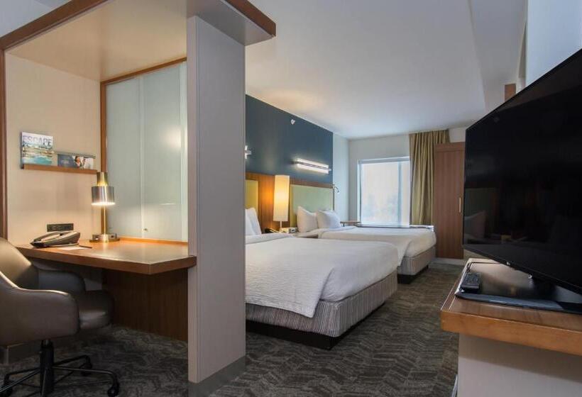 Springhill Suites Columbia Downtown The Vista