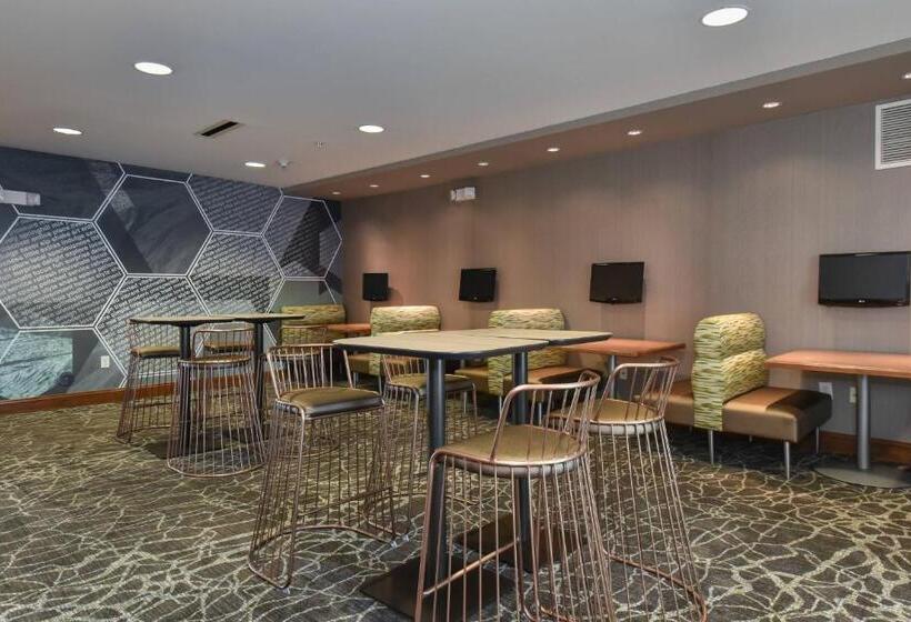 Springhill Suites Columbia Downtown The Vista