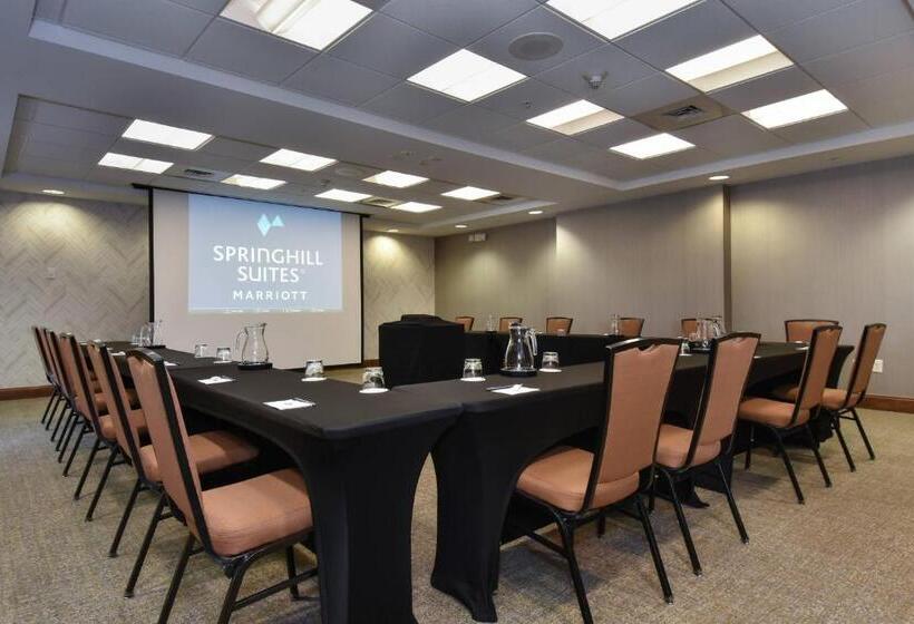 Springhill Suites Columbia Downtown The Vista